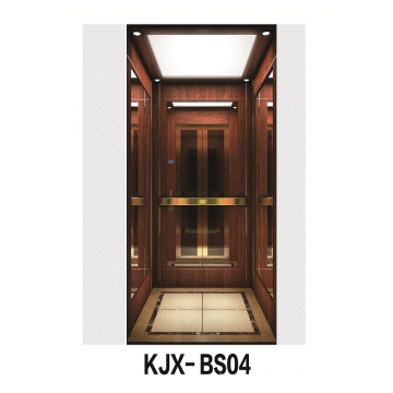 Villa Elevator with Wooden and Titanium Finished Stainless Steel (KJX-BS04)